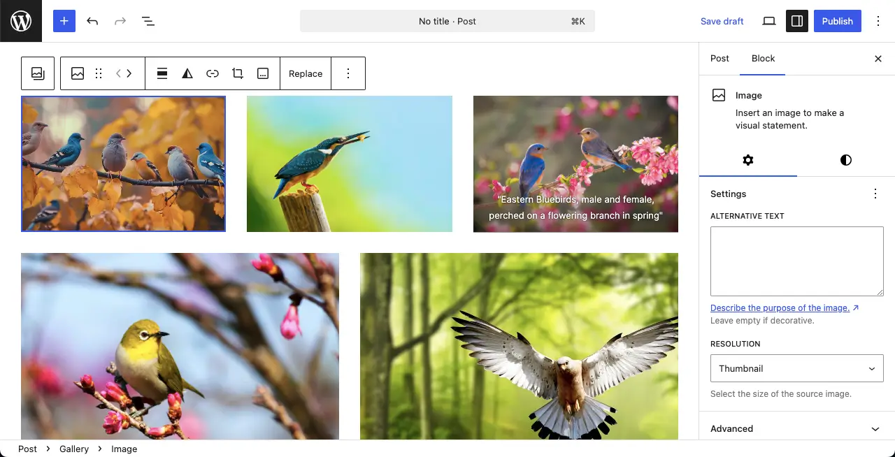 Images added to the gallery