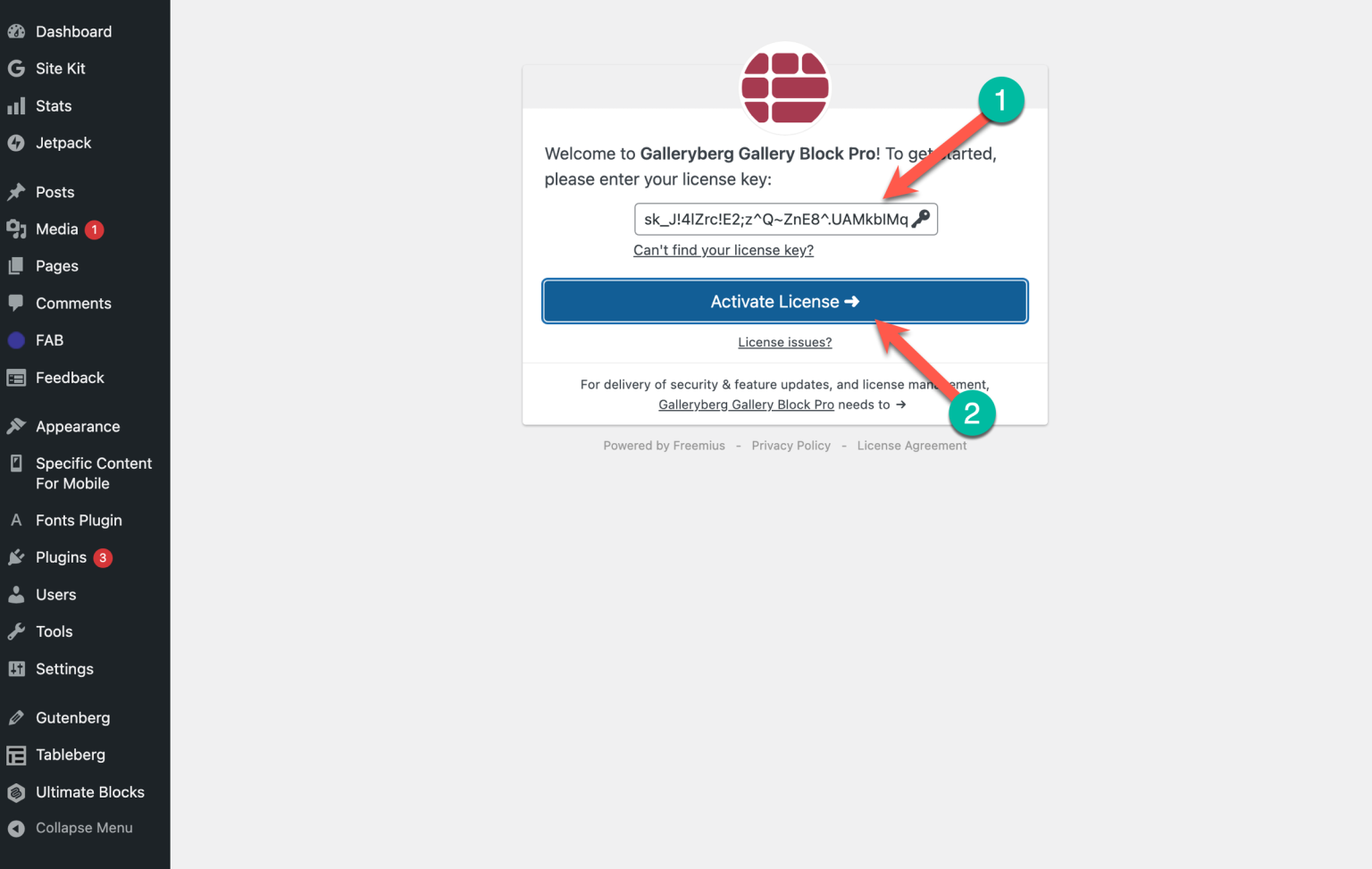 How to Insert & Activate Your Galleryberg License Key