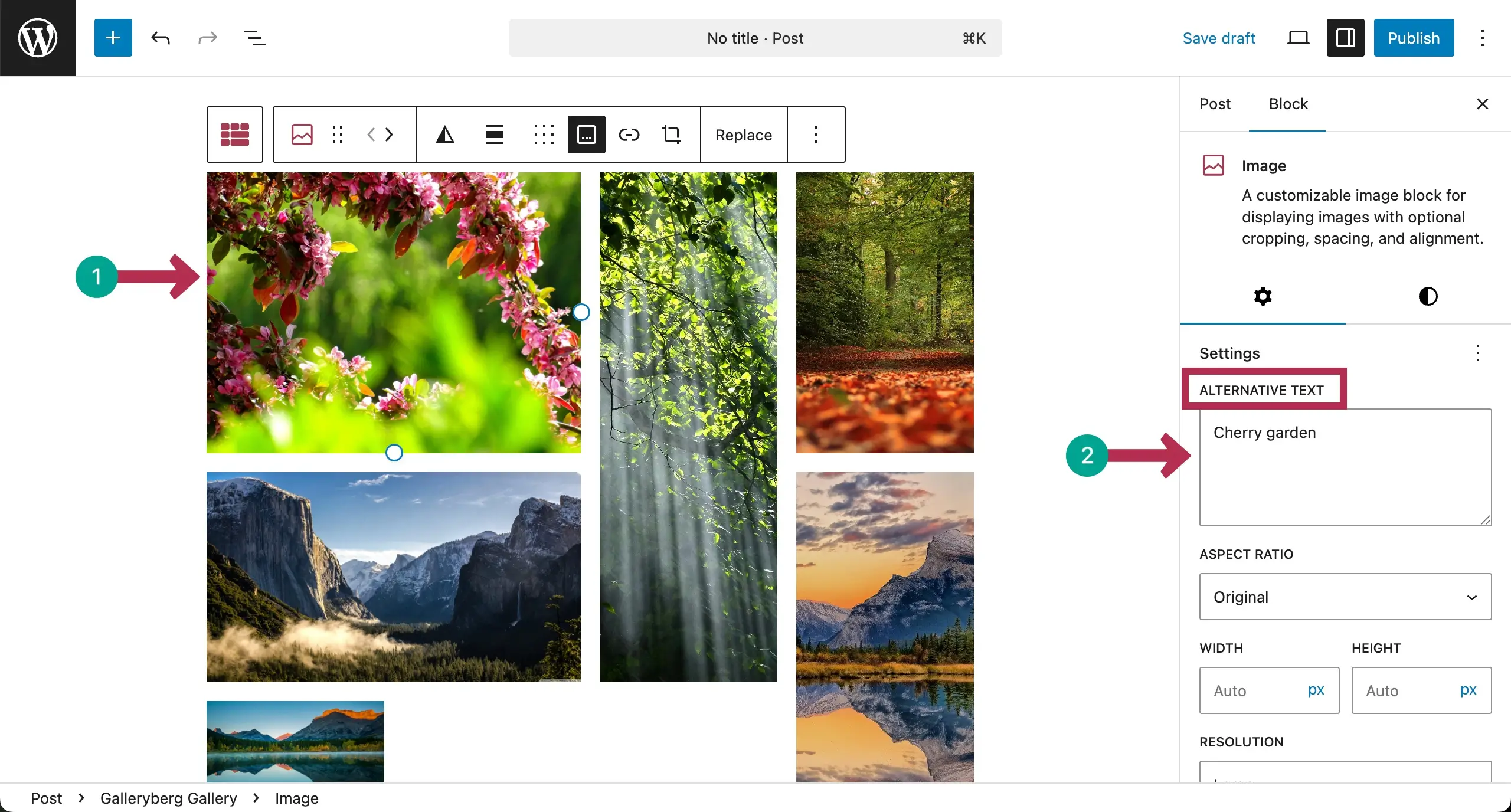 Add alternative texts to the Masonry gallery images