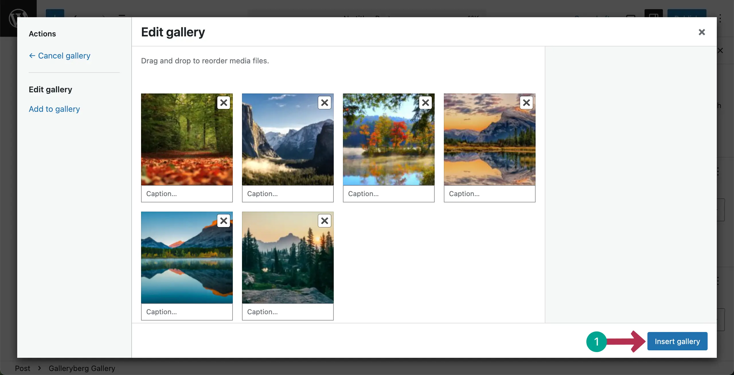 Add caption and insert gallery