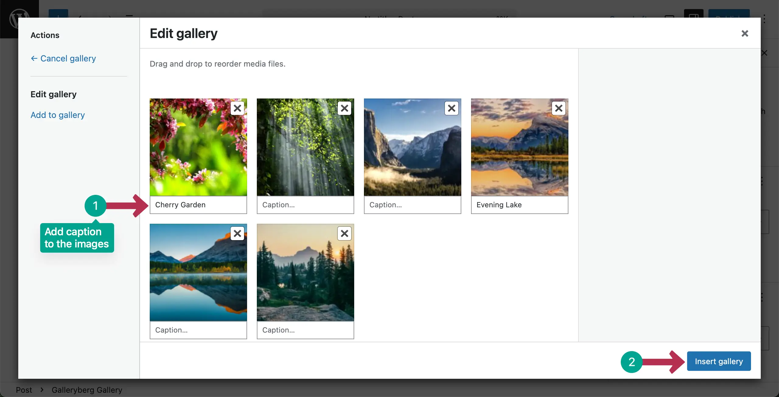 Add caption to the images