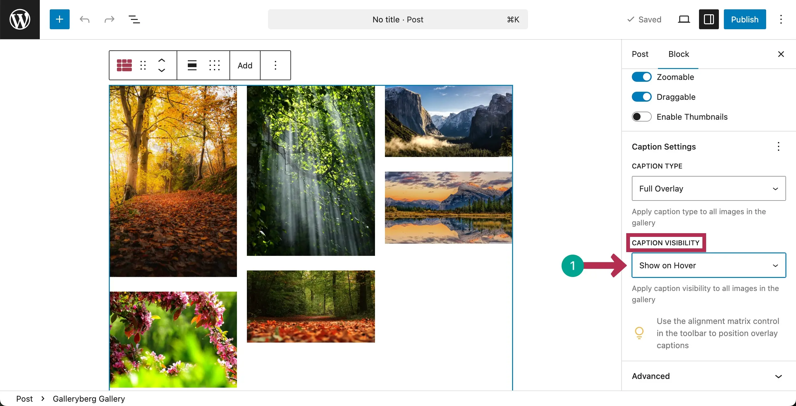 Choose the Caption Visibility option for the Masonry Gallery