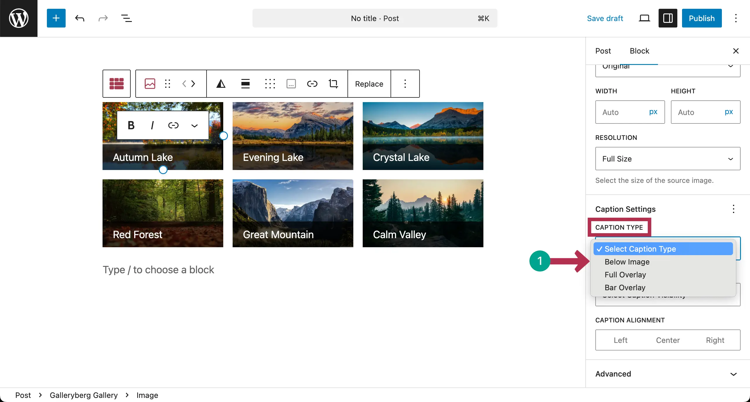 Configure caption type for the gallery image