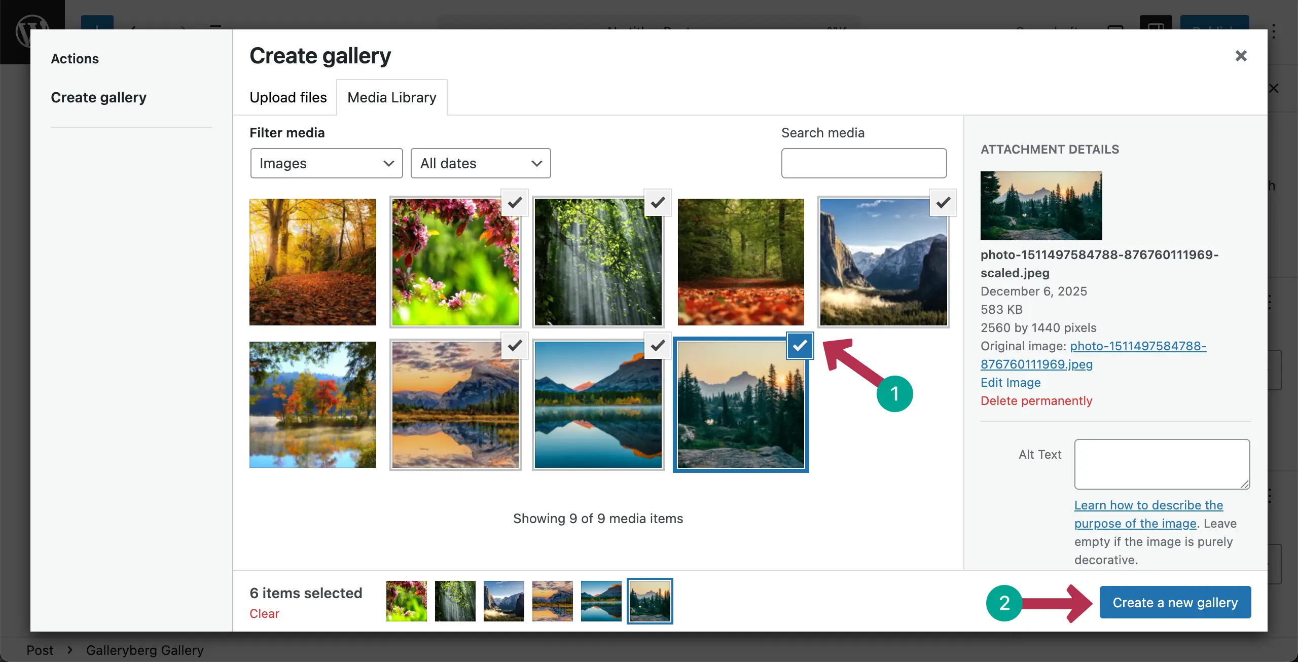 Select images for the Masonry Layout gallery