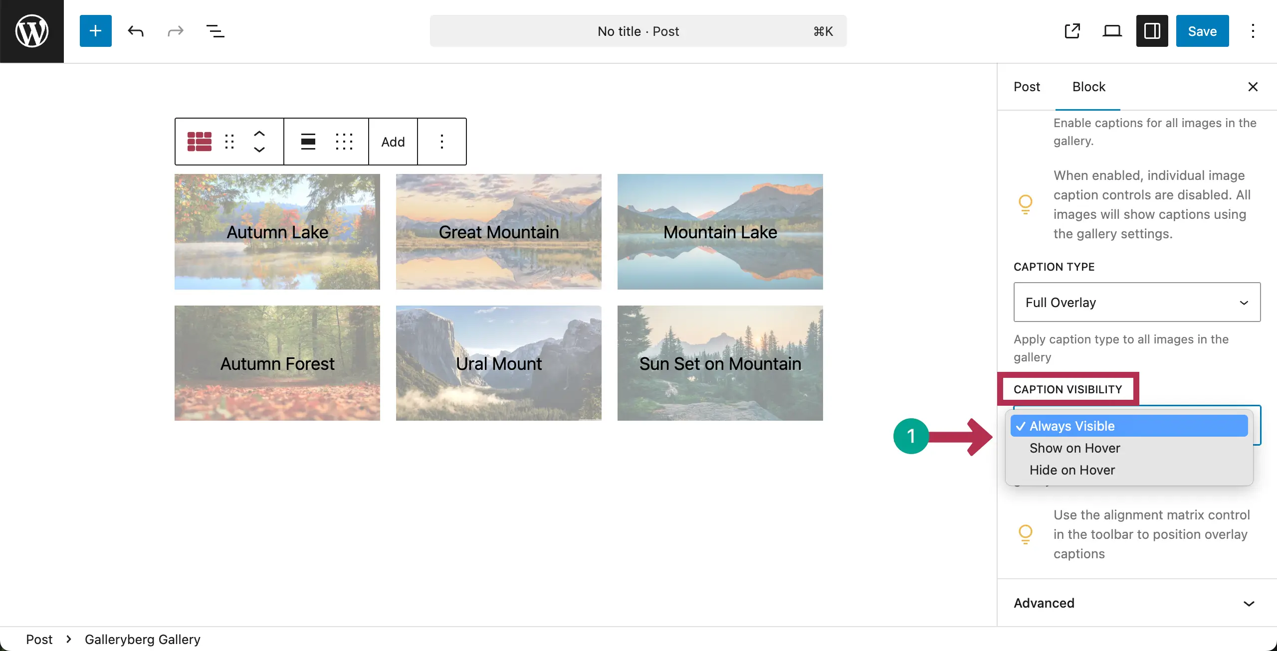 Set caption visibility for the gallery images