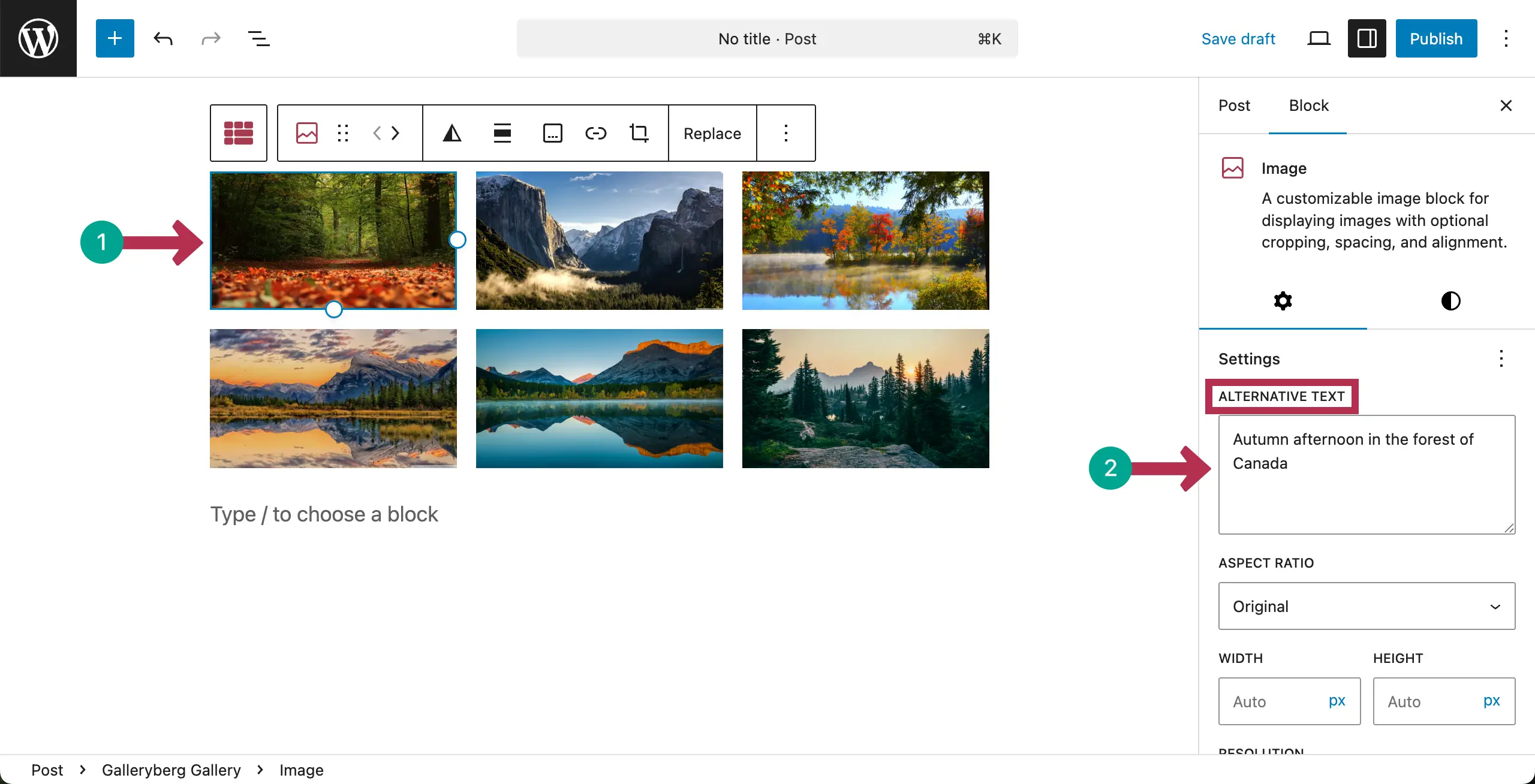 Write alternative texts for each image