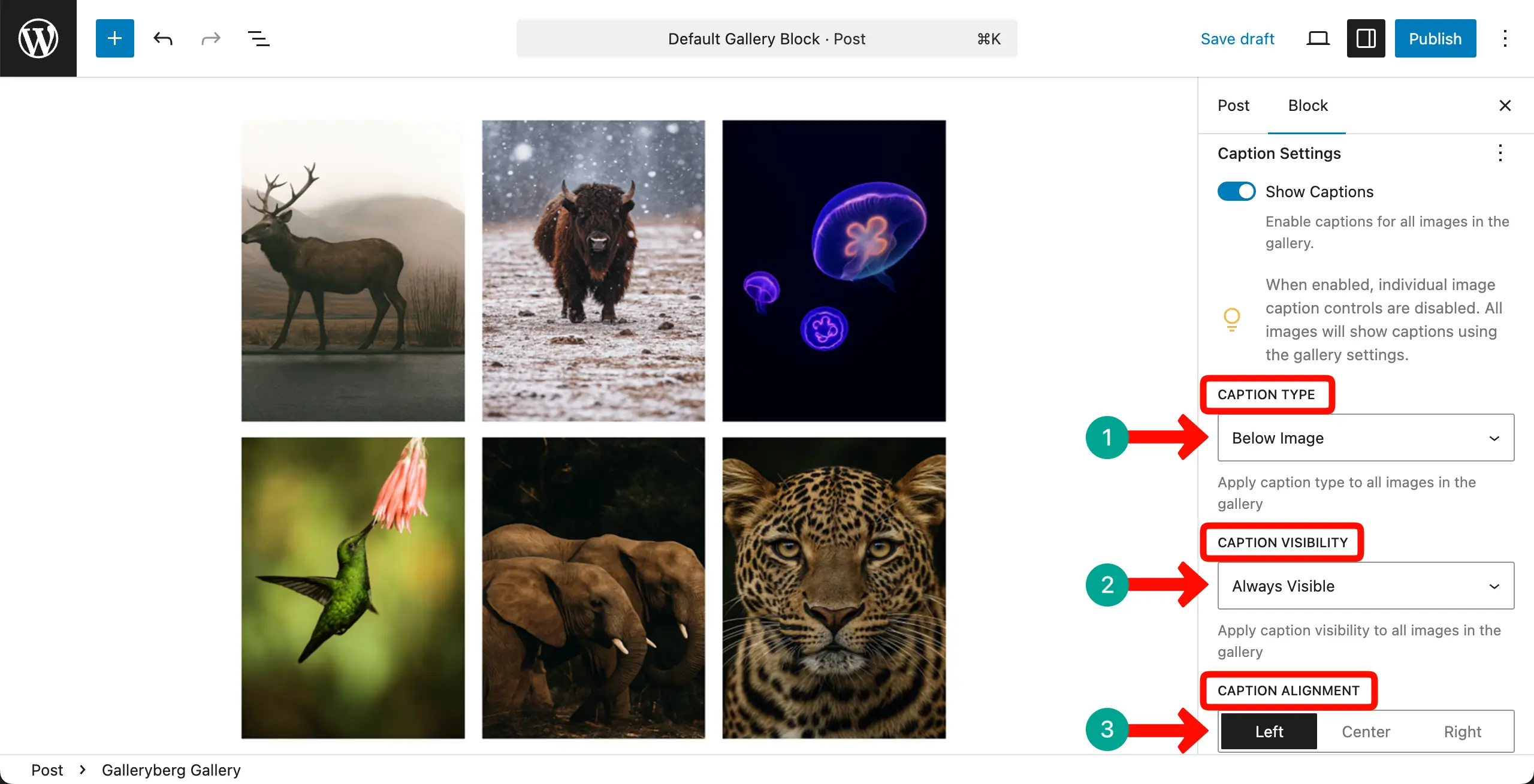 Configure caption settings