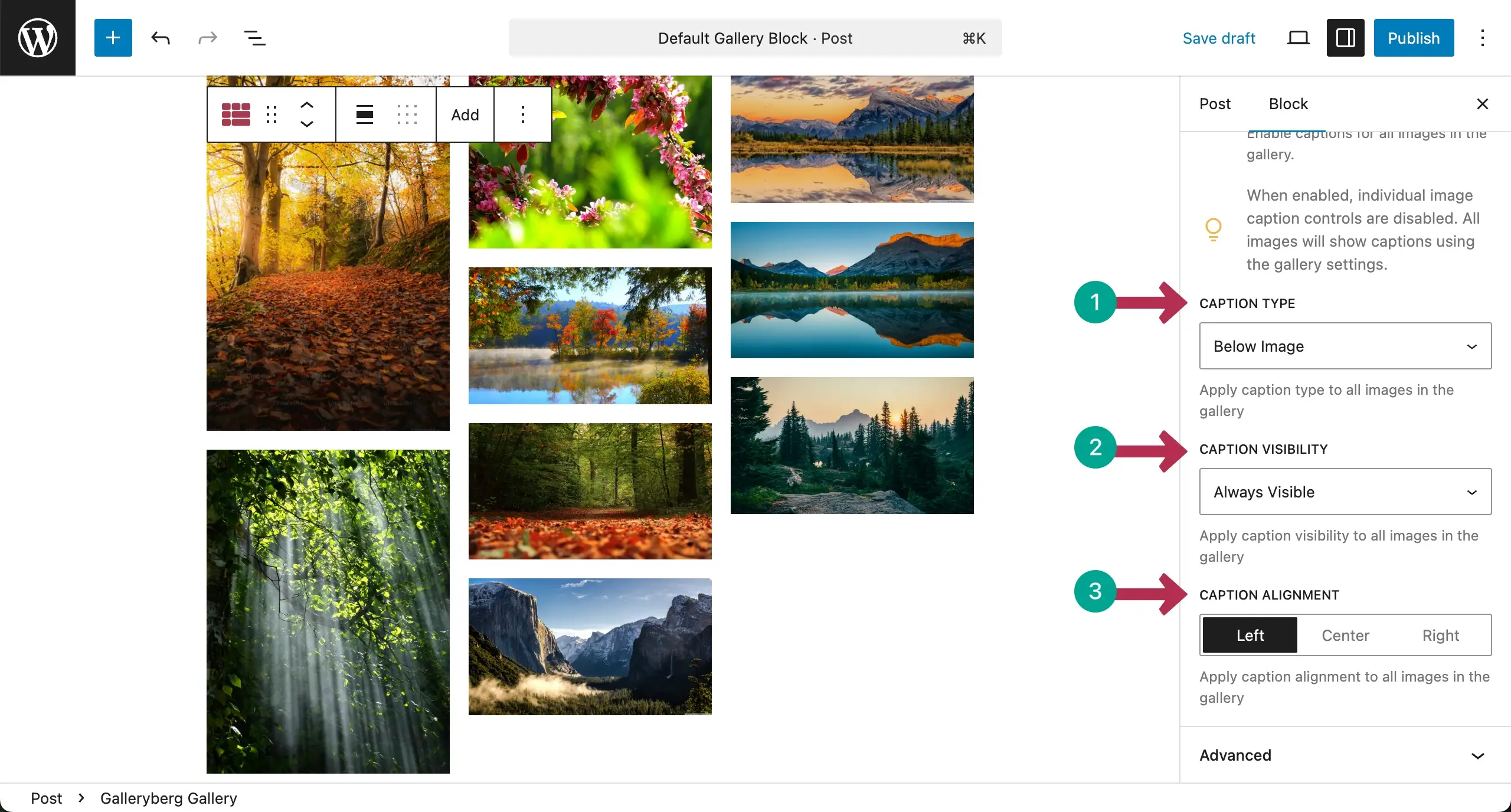 Set caption settings for the Masonry gallery