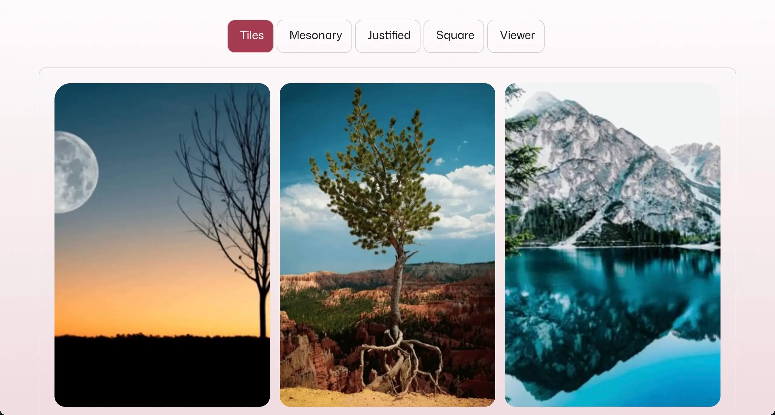 When Envira Gallery Might Still Make Sense