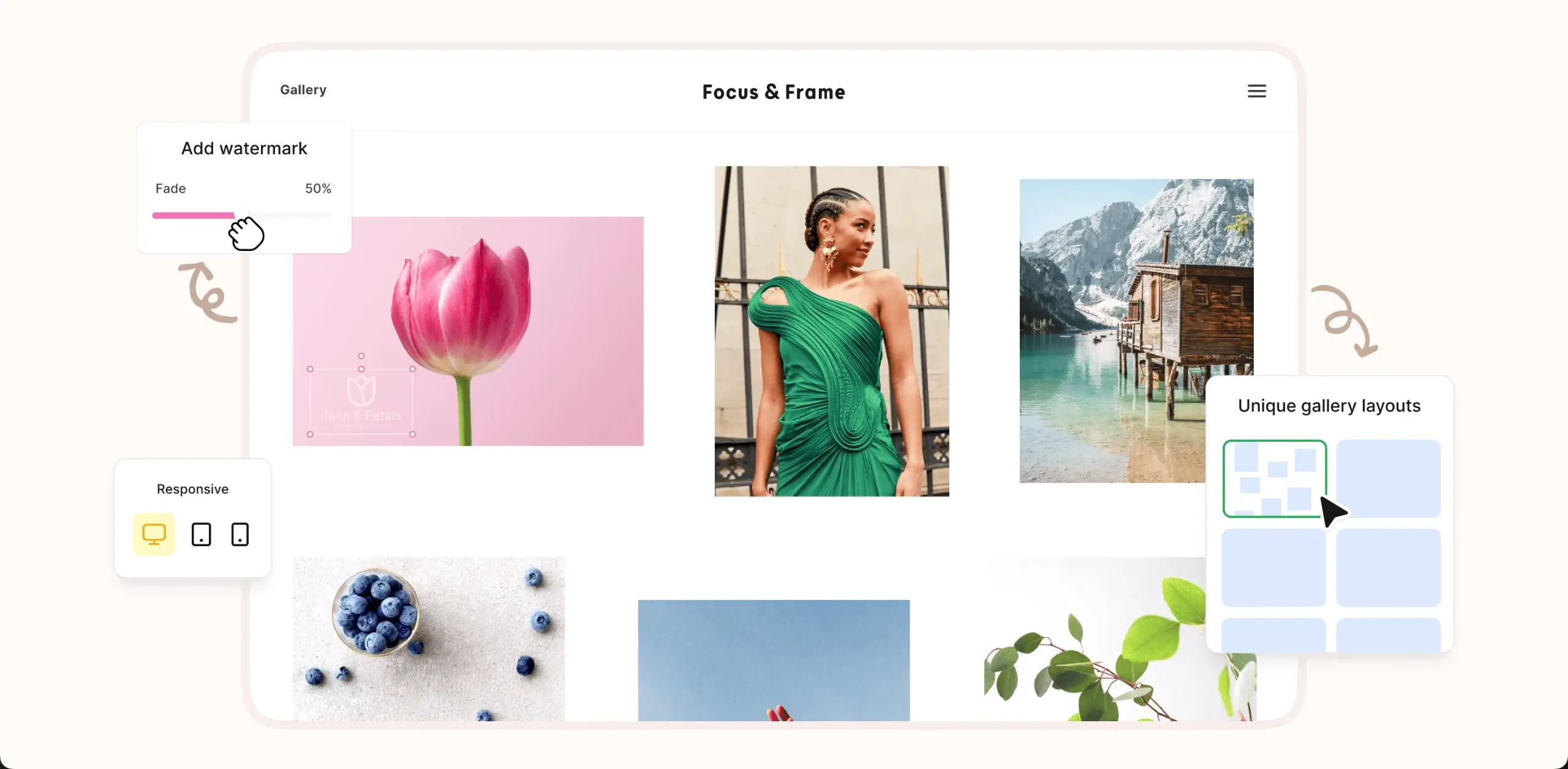 Where Envira Gallery Falls Short for Modern Users