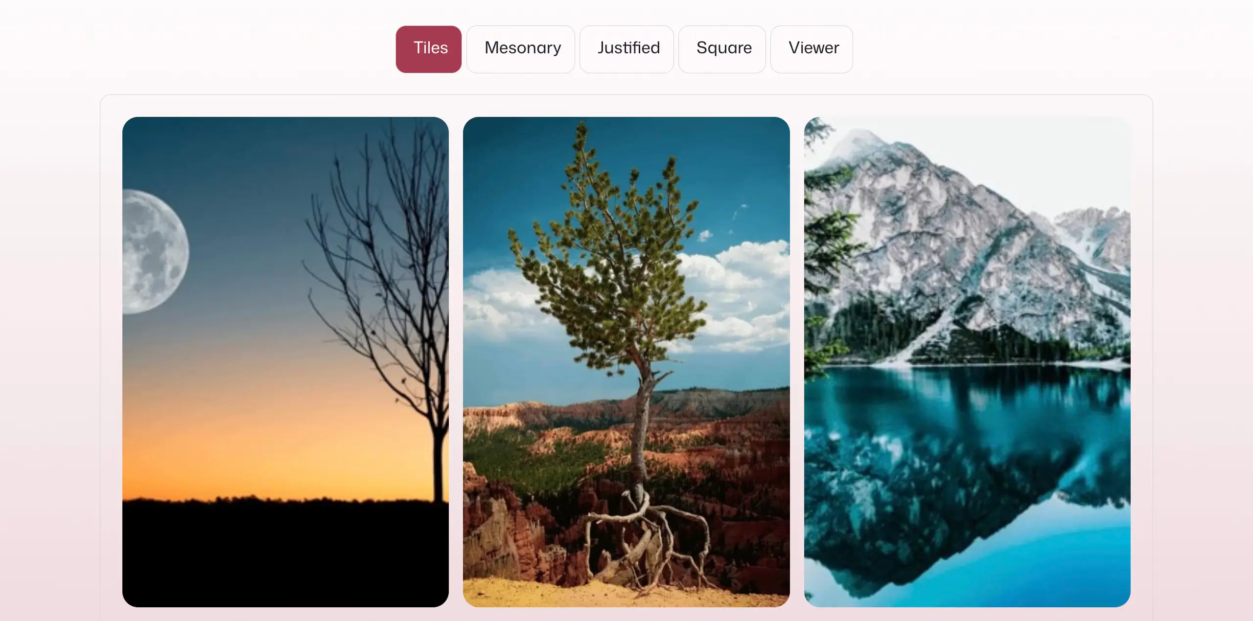 Best Use Cases for Galleryberg